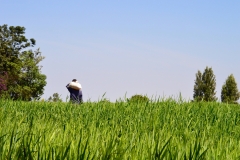 A farmer near Rhotia, Tanzania. 2015.